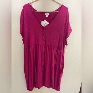 NWT - LuLaRoe Heidi Baby Doll Dress Pink Size 3X